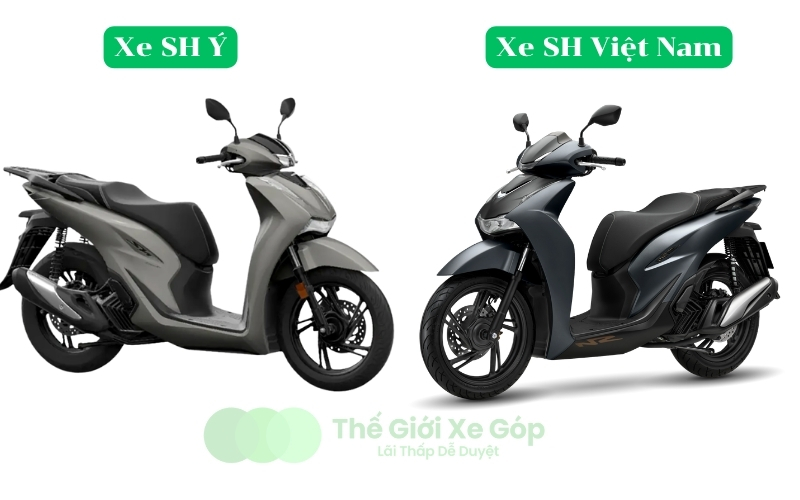phan biet xe sh y va sh viet nam khac nhau
